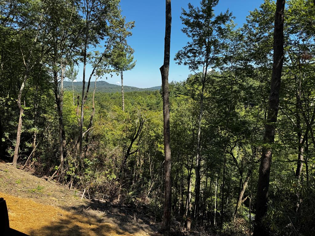 418430 Blue Ridge Residential