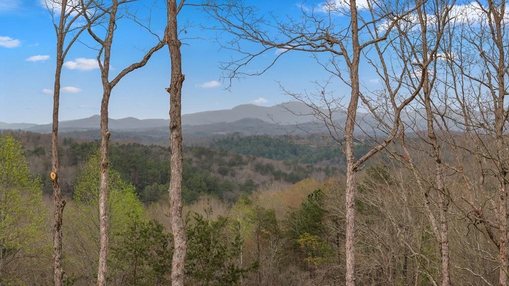 418442 Blue Ridge 