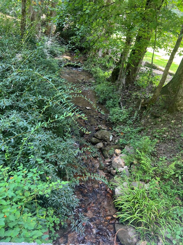 418447 Morganton Residential