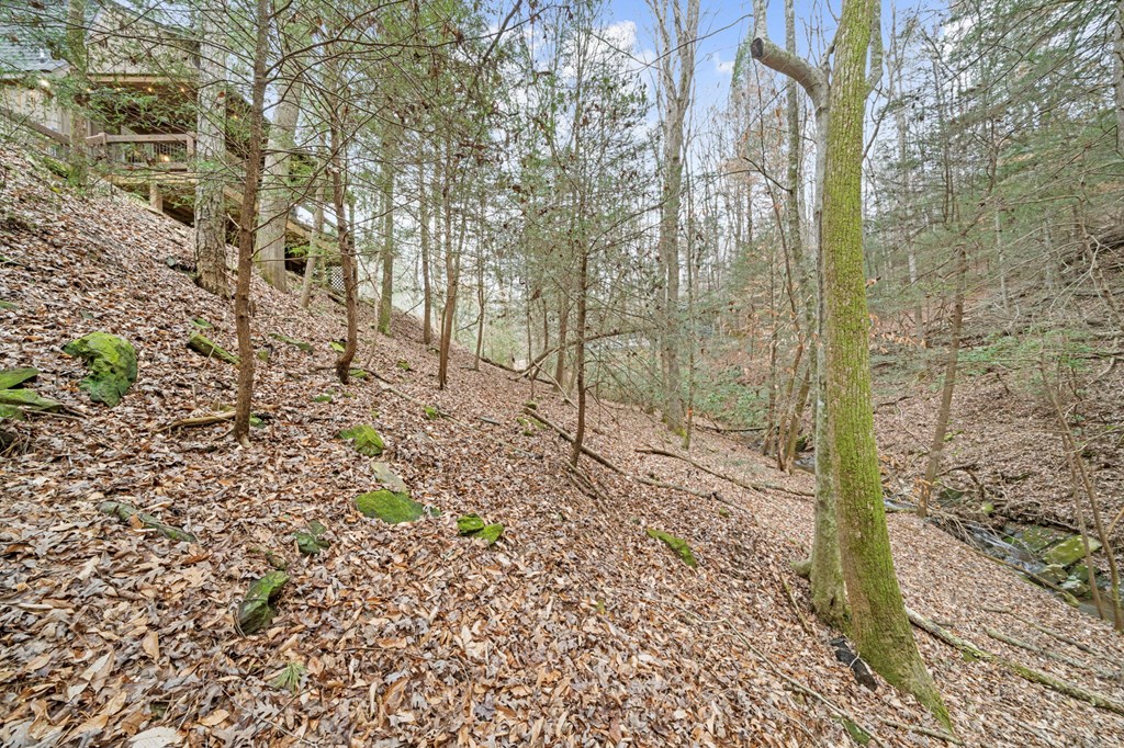 418455 Ellijay Residential