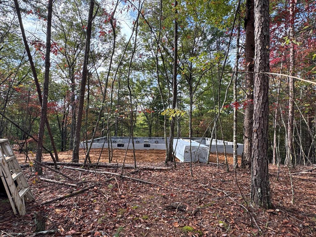 418479 Murphy Residential