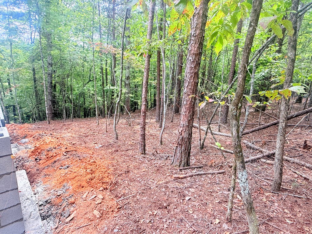 418479 Murphy Residential