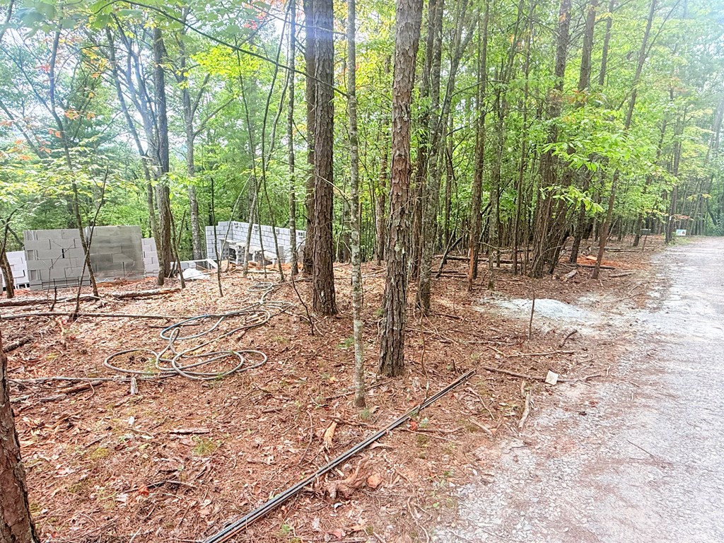 418479 Murphy Residential