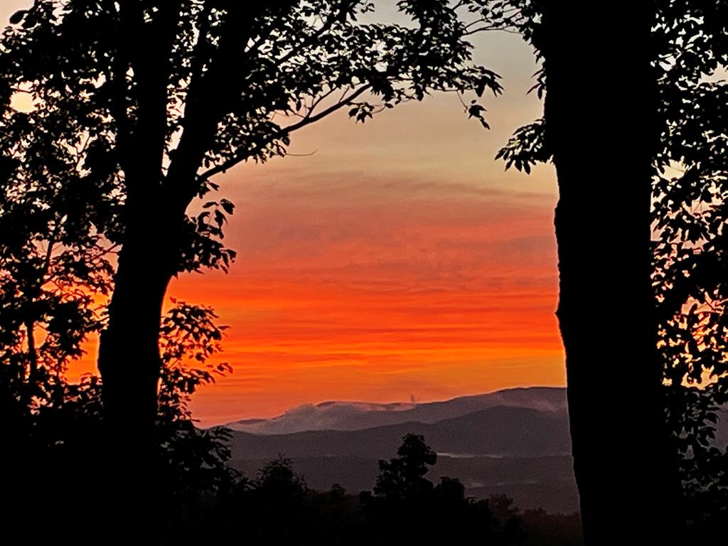 418484 Ellijay Residential