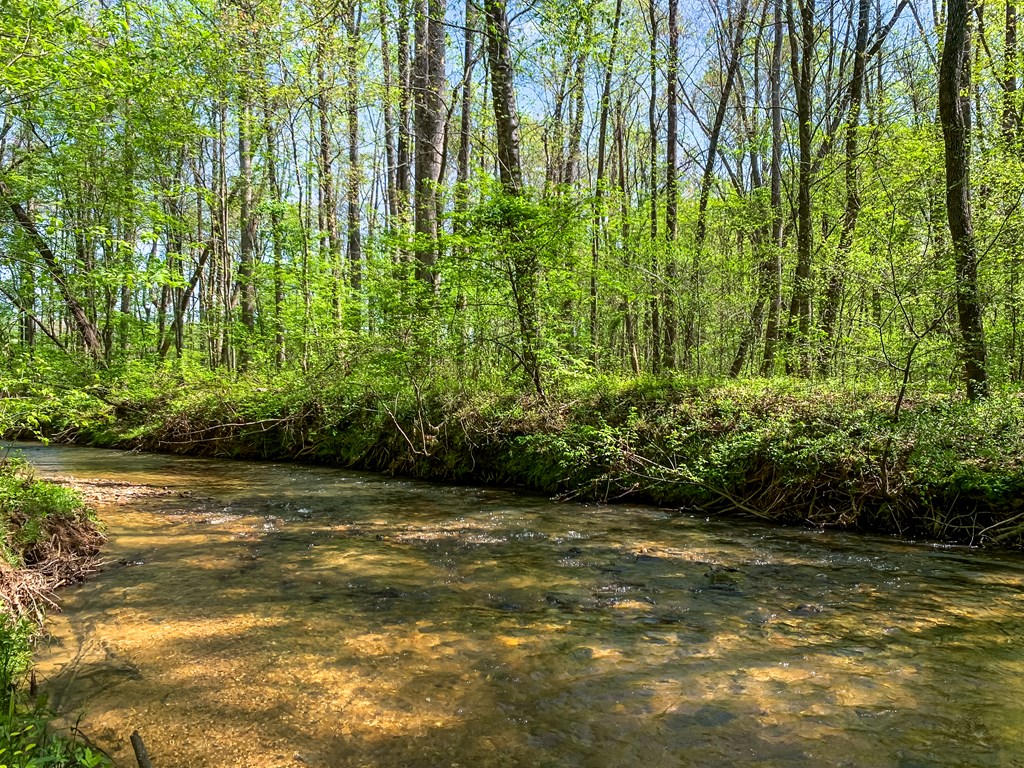 418488 Ellijay Residential