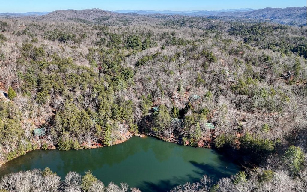 418505 Blue Ridge Residential