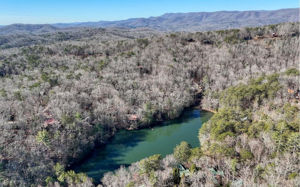 418505 Blue Ridge Residential