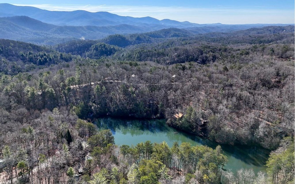 418505 Blue Ridge Residential