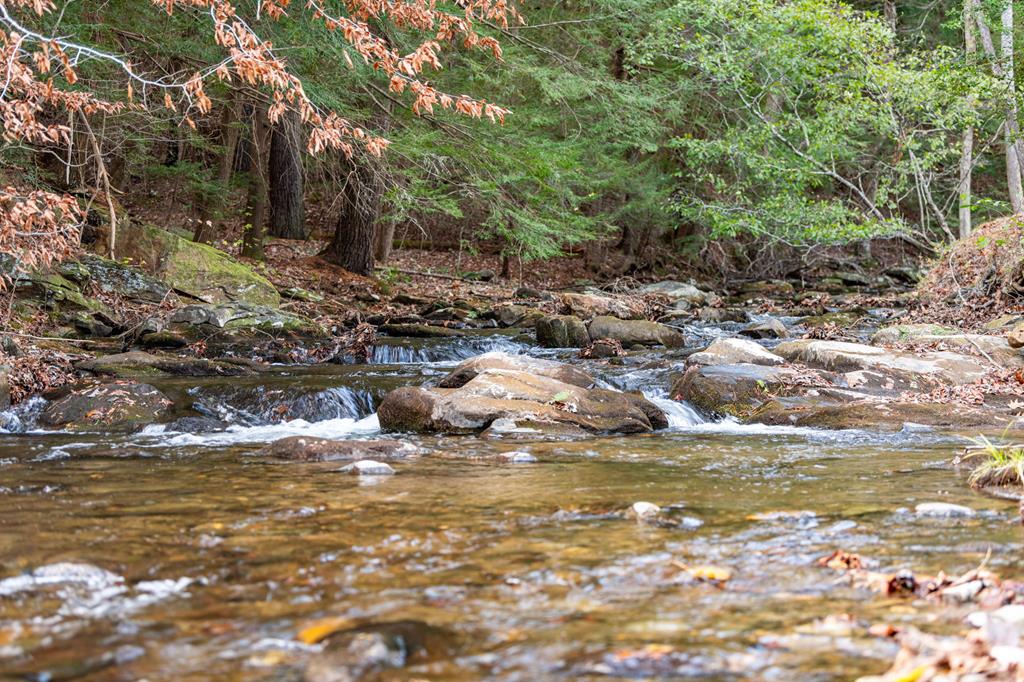 418519 Ellijay Residential