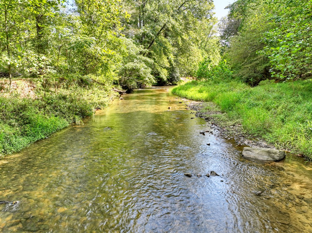 418542 Ellijay Residential