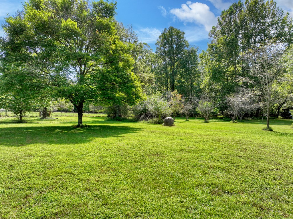 418542 Ellijay Residential