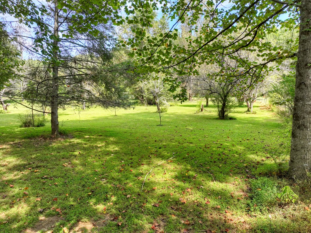 418542 Ellijay Residential