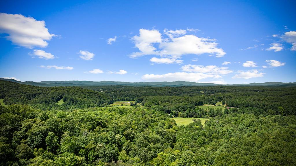 418547 Morganton Residential