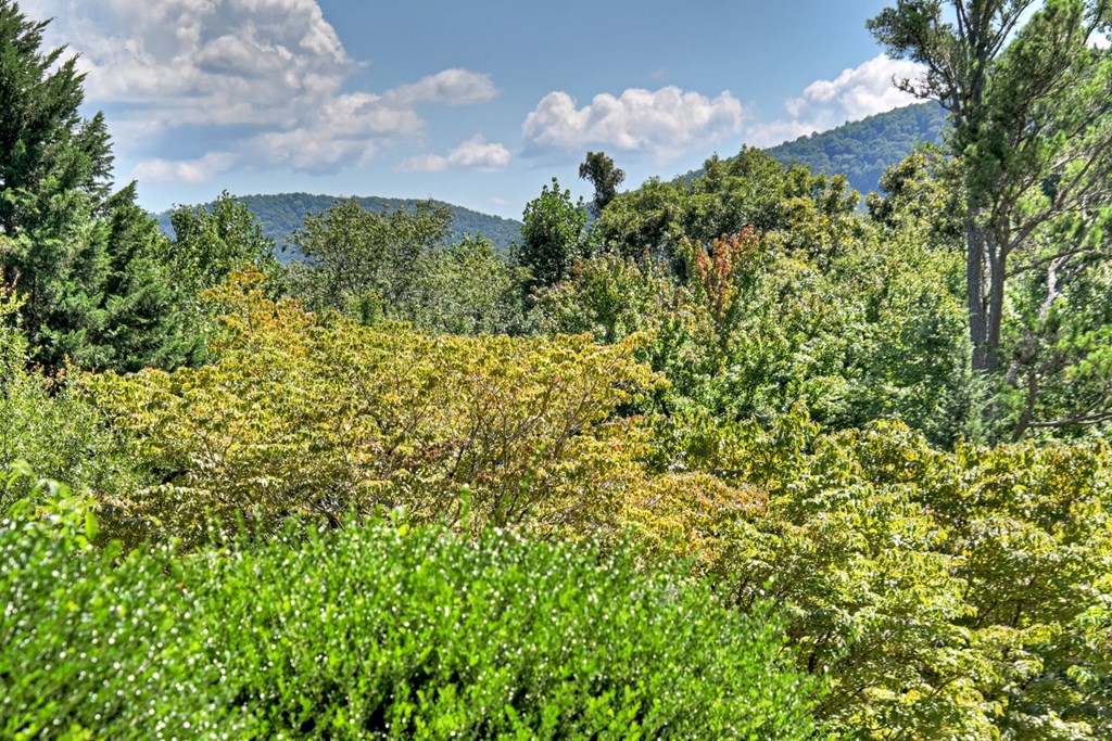 418556 Blue Ridge Residential