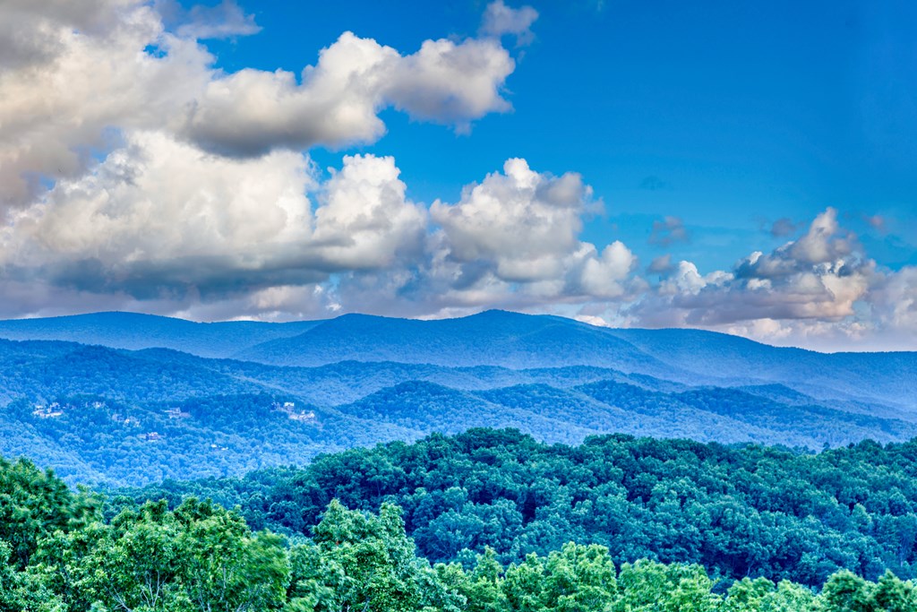 418593 Blue Ridge Residential