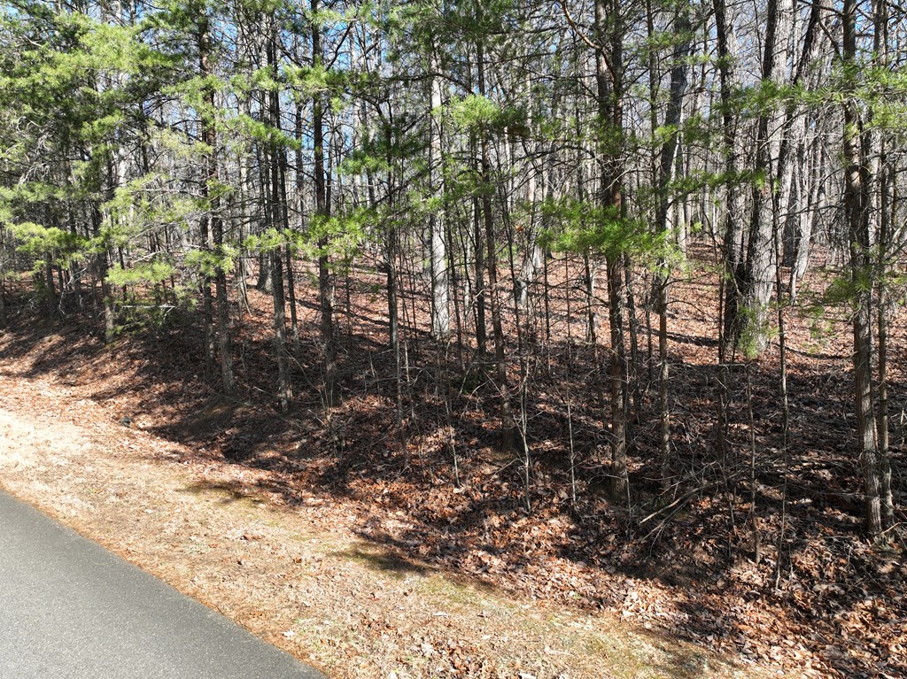 418631 Ellijay Residential