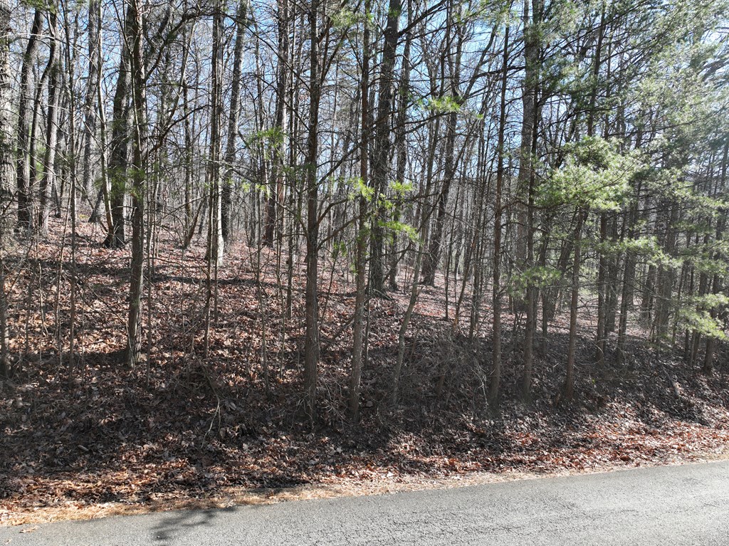 418631 Ellijay Residential