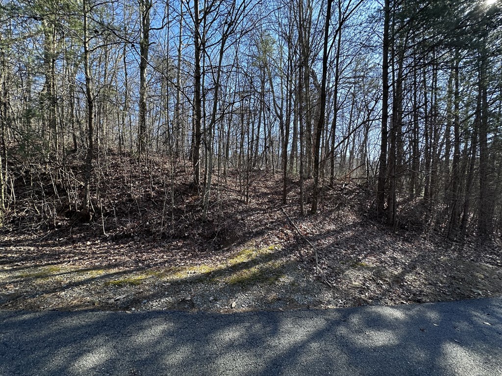 418631 Ellijay Residential