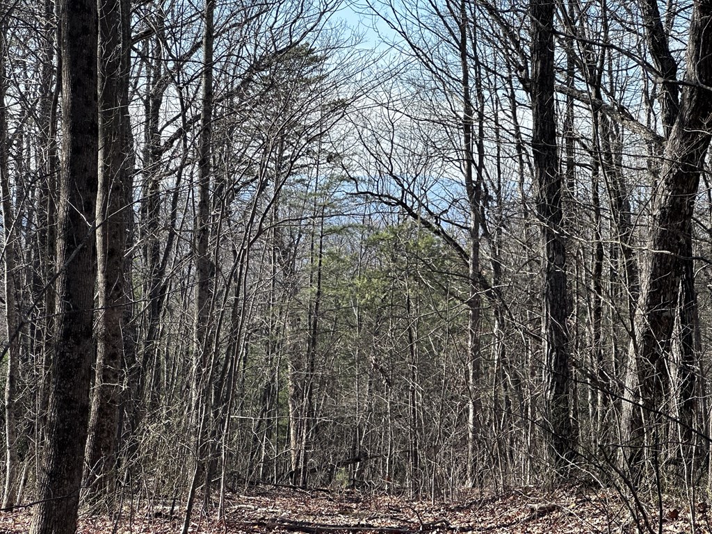 418631 Ellijay Residential