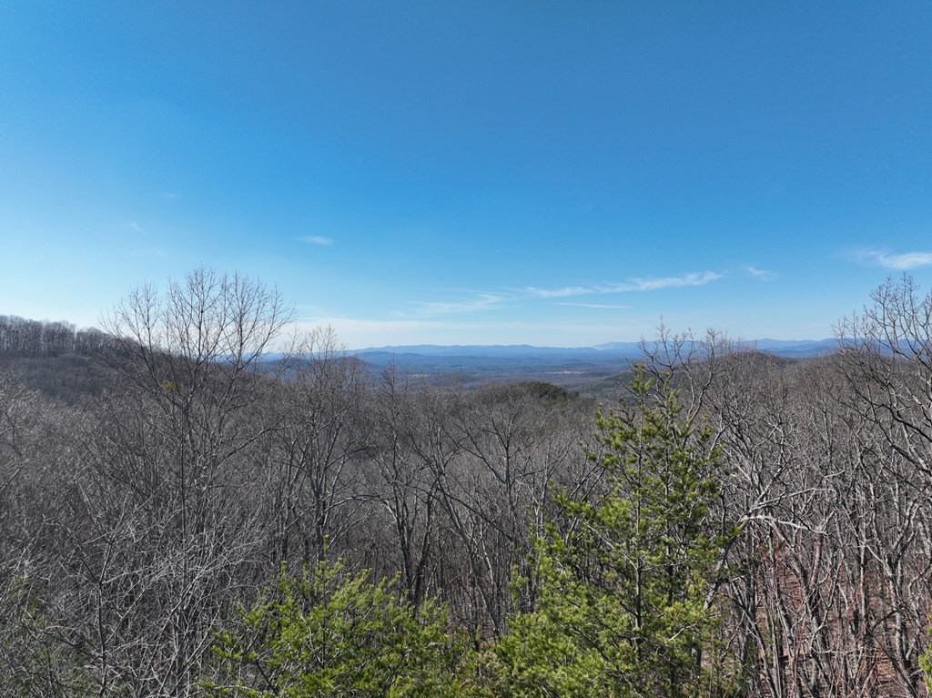 418631 Ellijay Residential