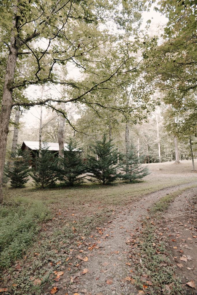 418644 McCaysville Residential