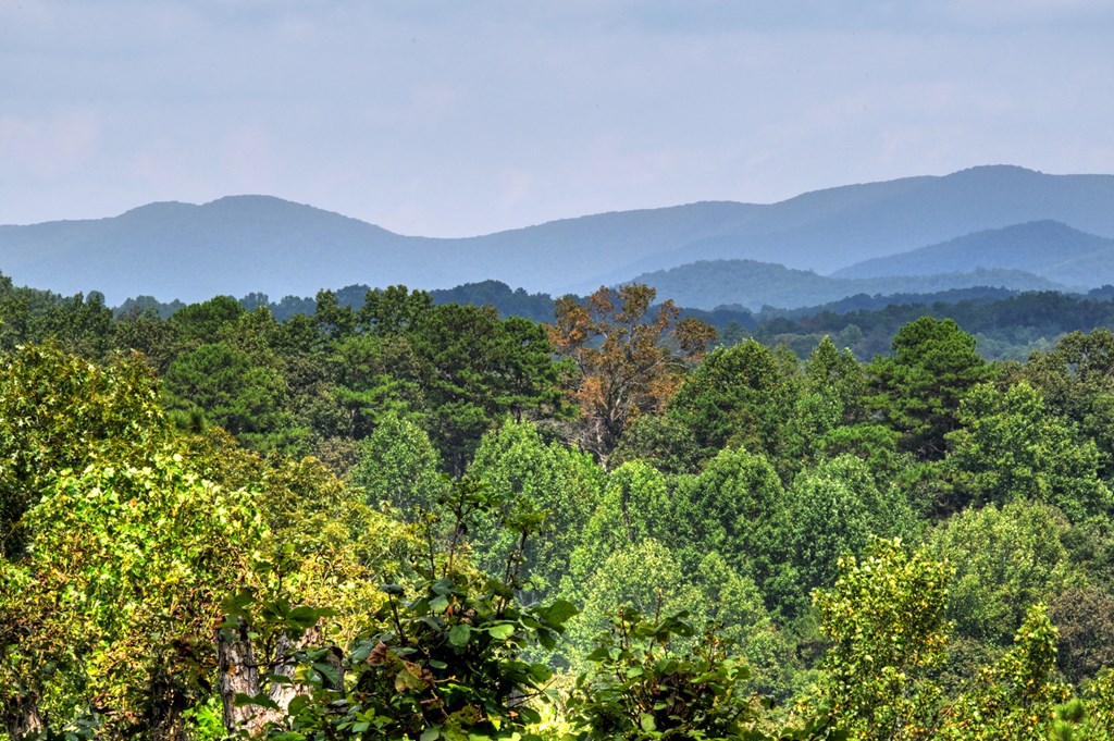 418657 Ellijay Residential