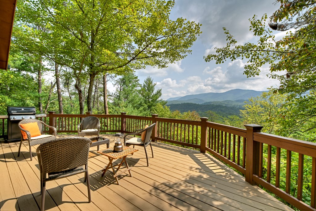 418676 Ellijay Residential