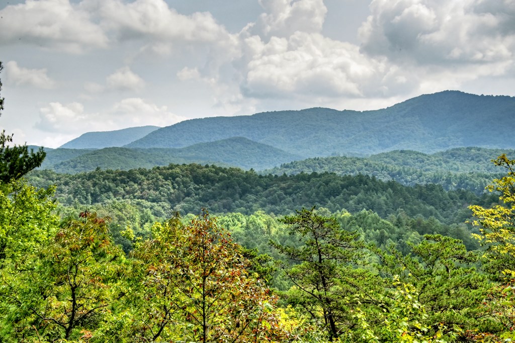 418676 Ellijay Residential
