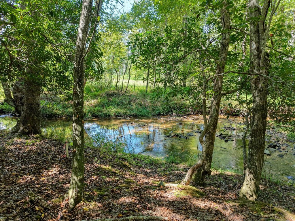 418684 Blairsville Residential