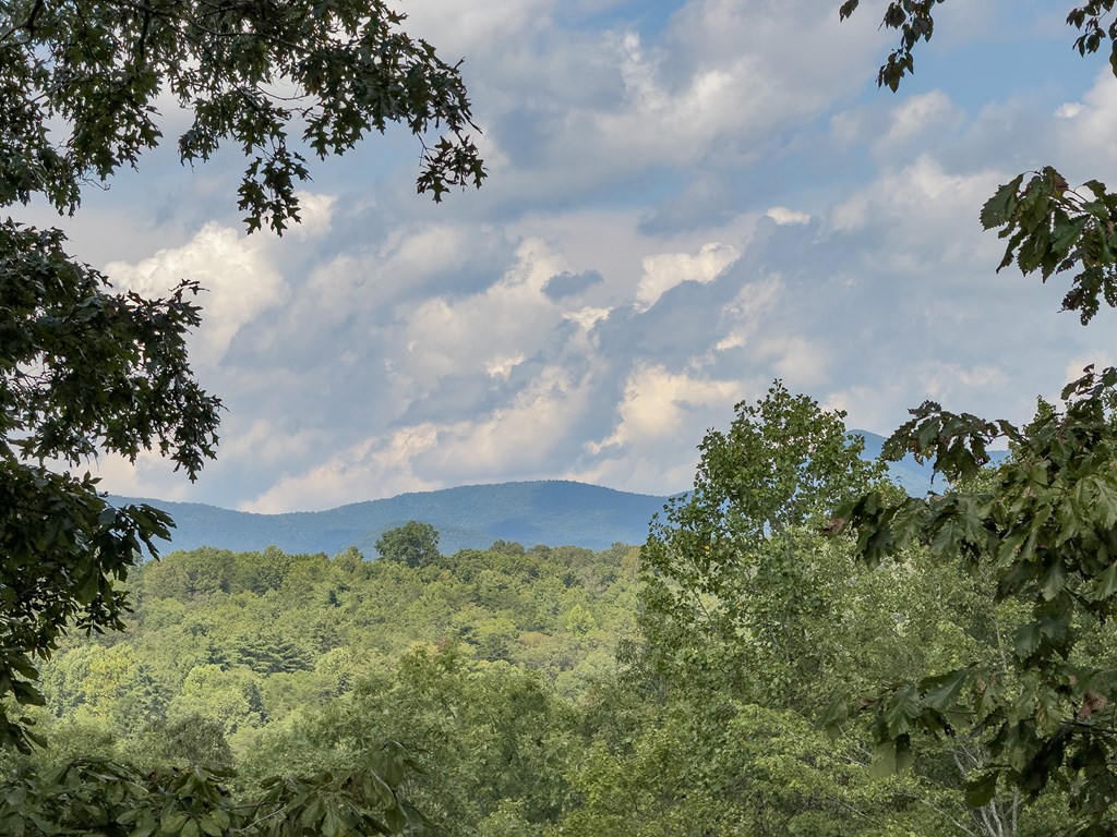 418717 Blairsville Residential