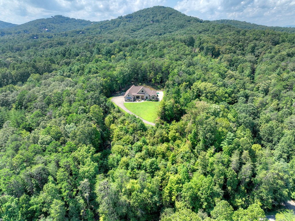 418730 Blue Ridge Residential