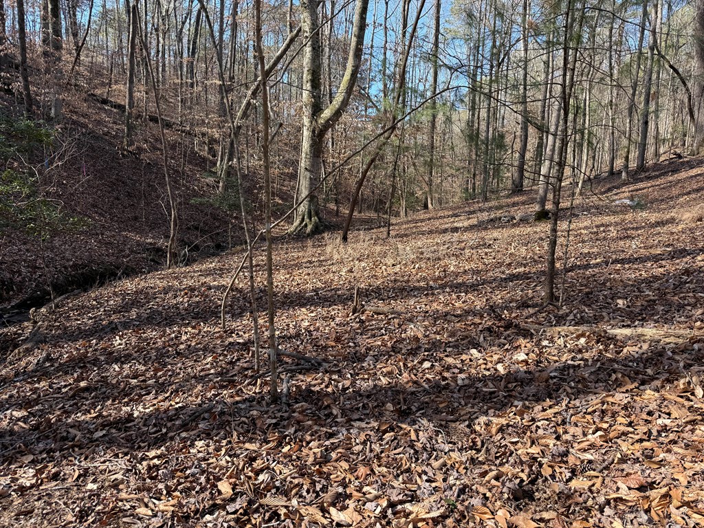 418740 Ellijay Residential