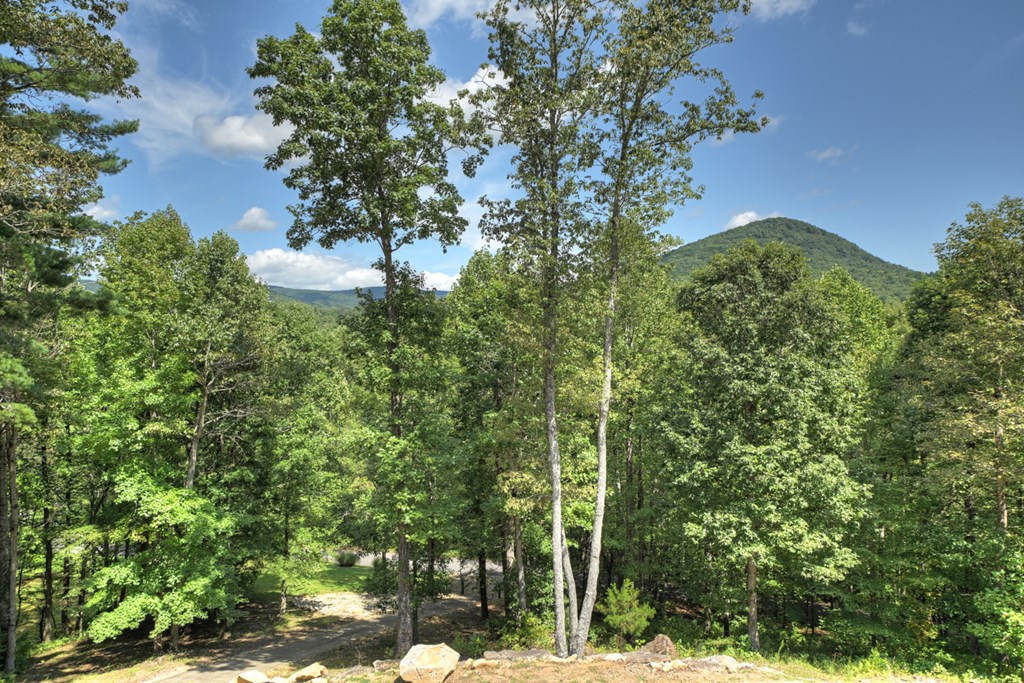 418803 Ellijay Residential