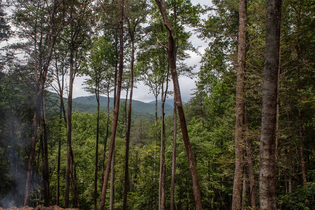 418812 Blue Ridge Residential