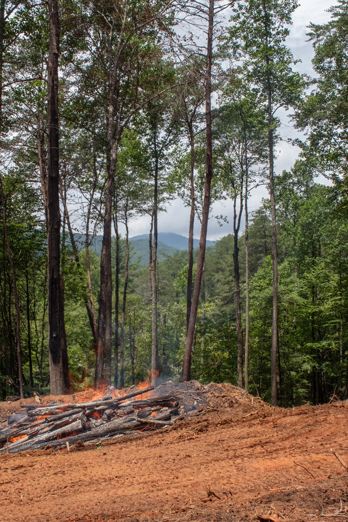 418812 Blue Ridge Residential
