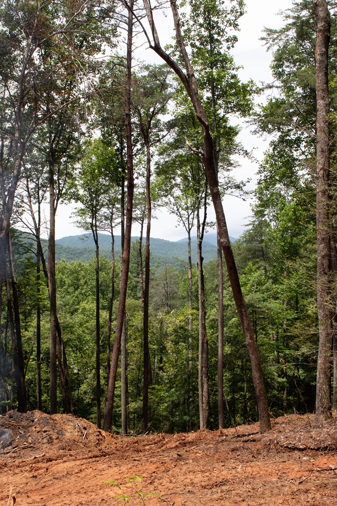 418812 Blue Ridge Residential