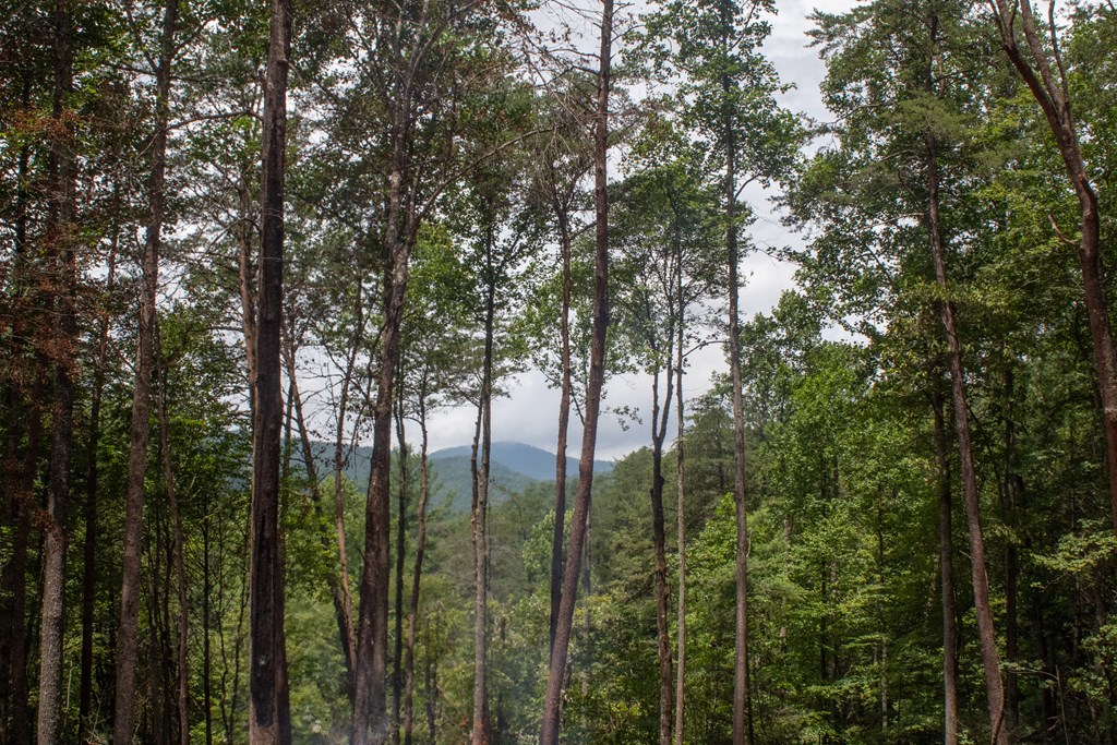 418812 Blue Ridge Residential