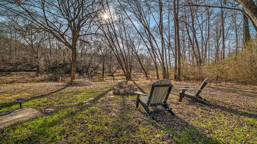 418873 Mineral Bluff Residential