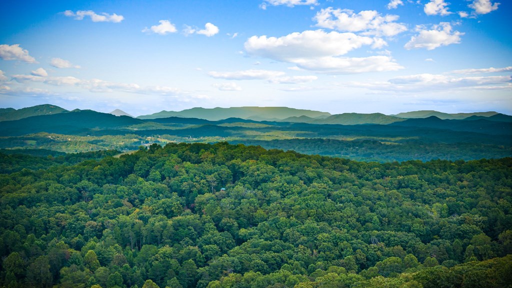 418884 Blue Ridge Residential