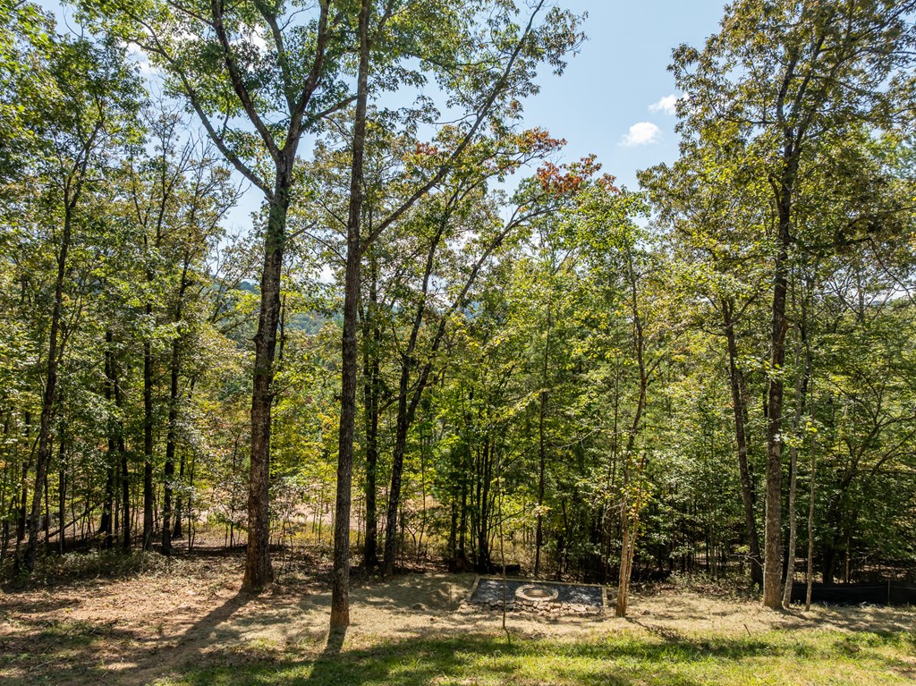 418904 Mineral Bluff Residential