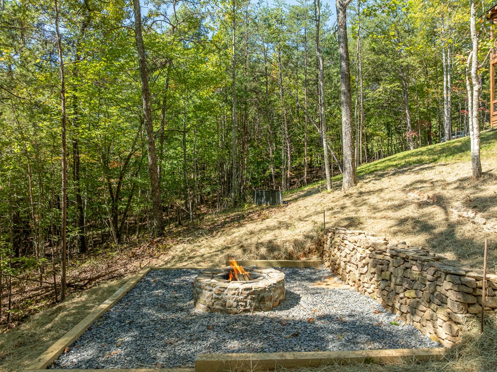 418904 Mineral Bluff Residential