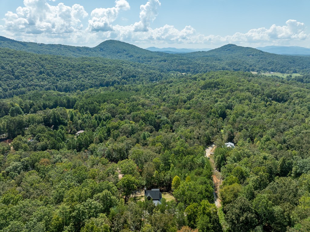418904 Mineral Bluff Residential