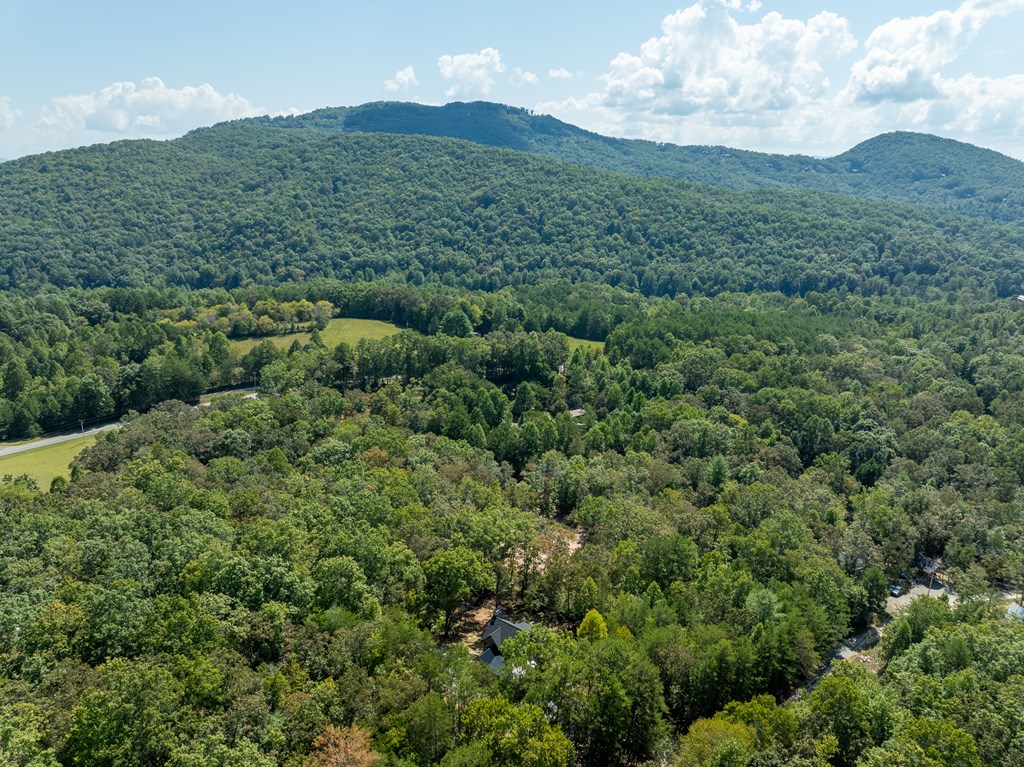 418904 Mineral Bluff Residential