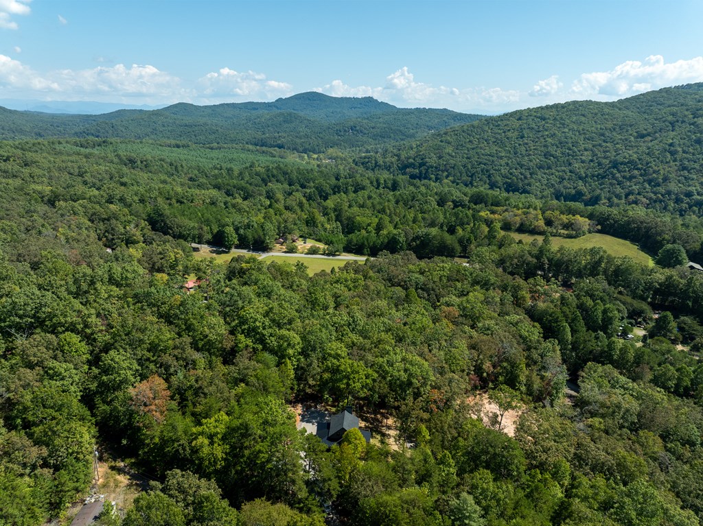 418904 Mineral Bluff Residential