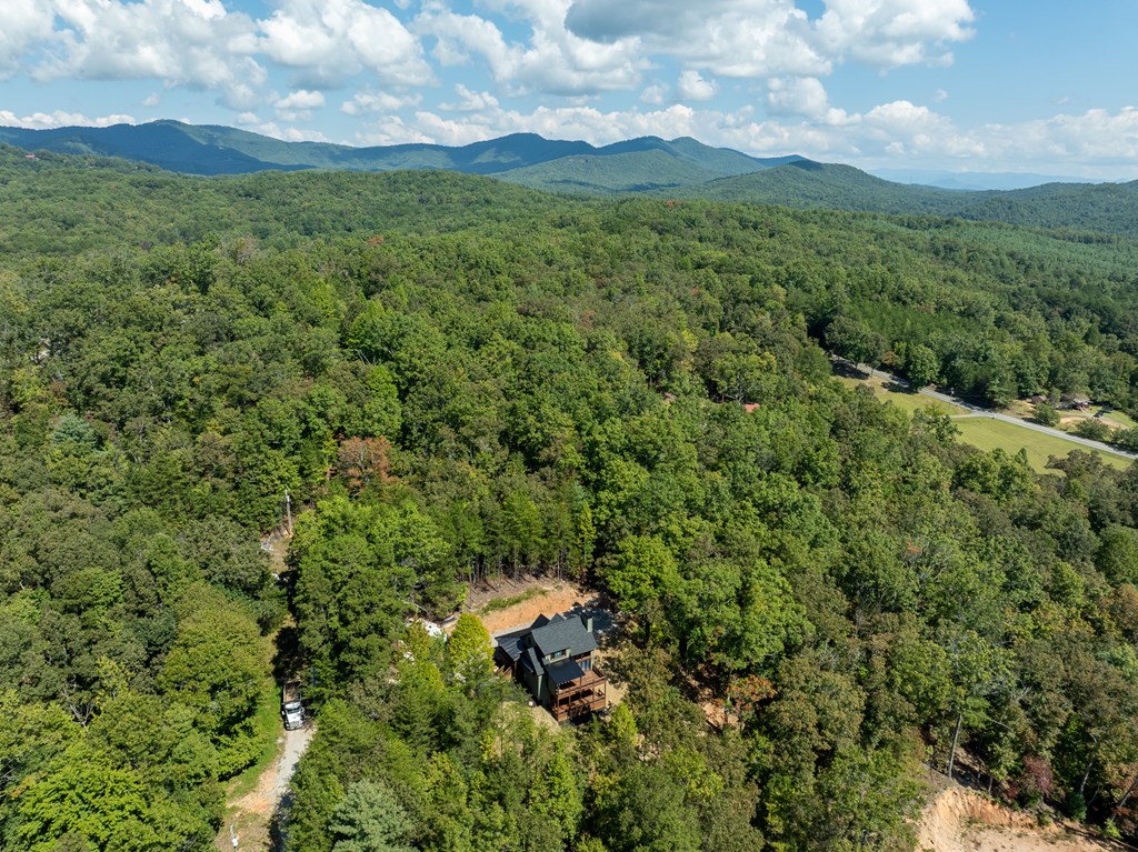 418904 Mineral Bluff Residential