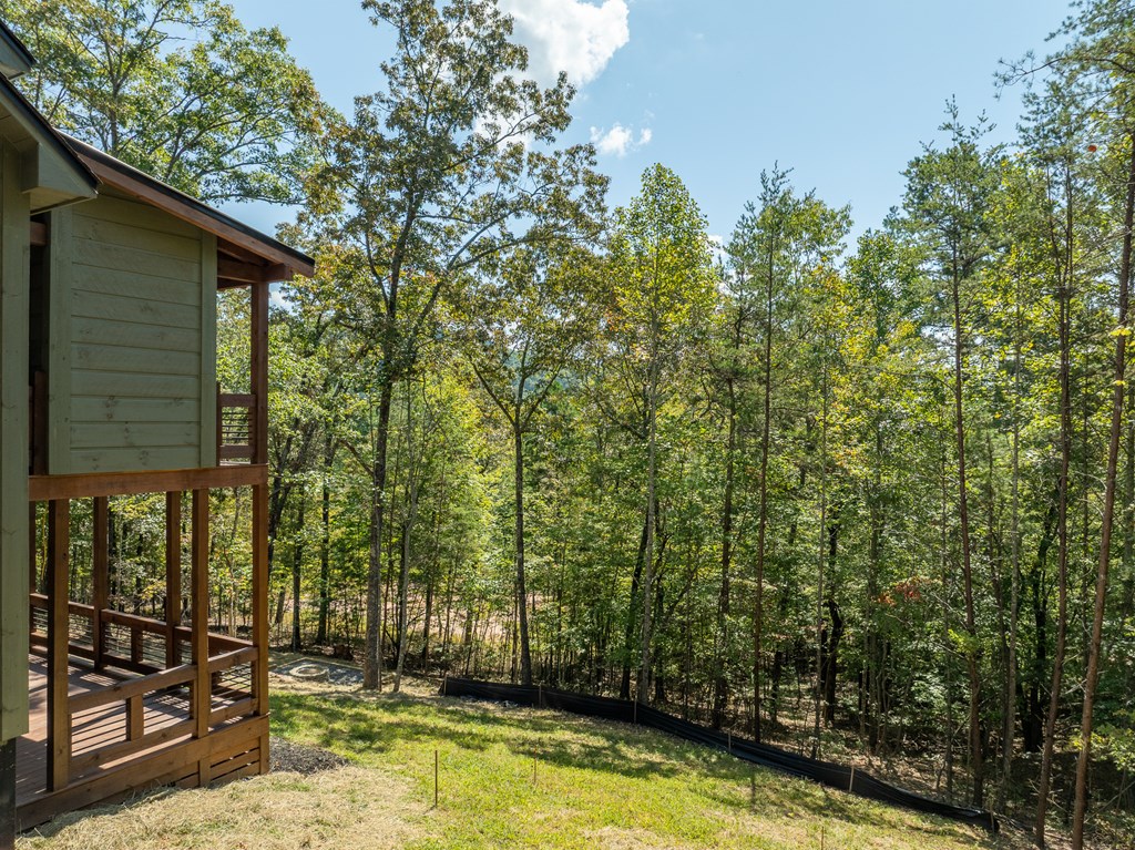 418904 Mineral Bluff Residential