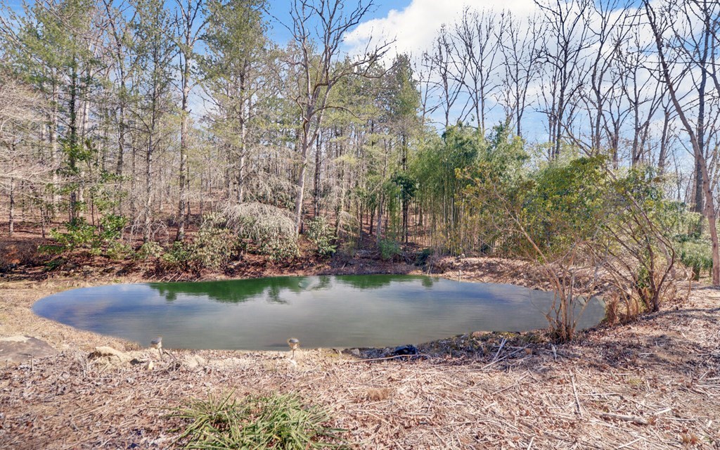 418905 McCaysville Residential