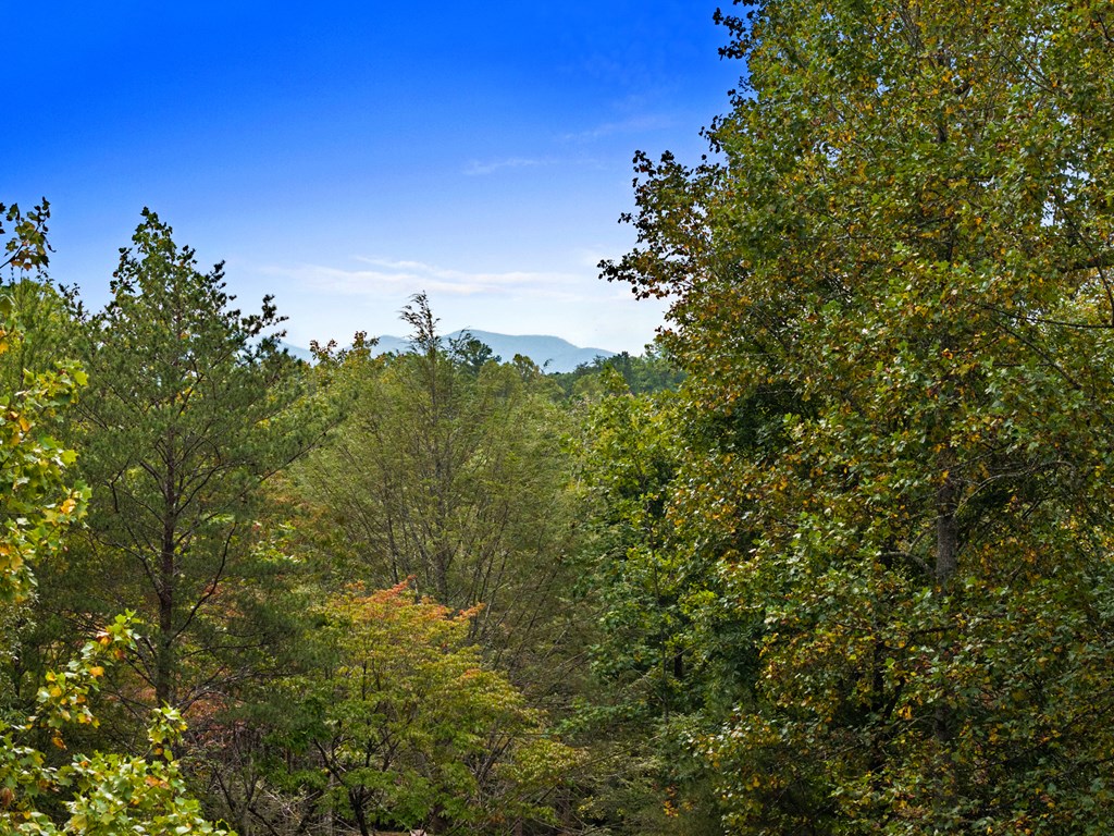 418908 Morganton Residential