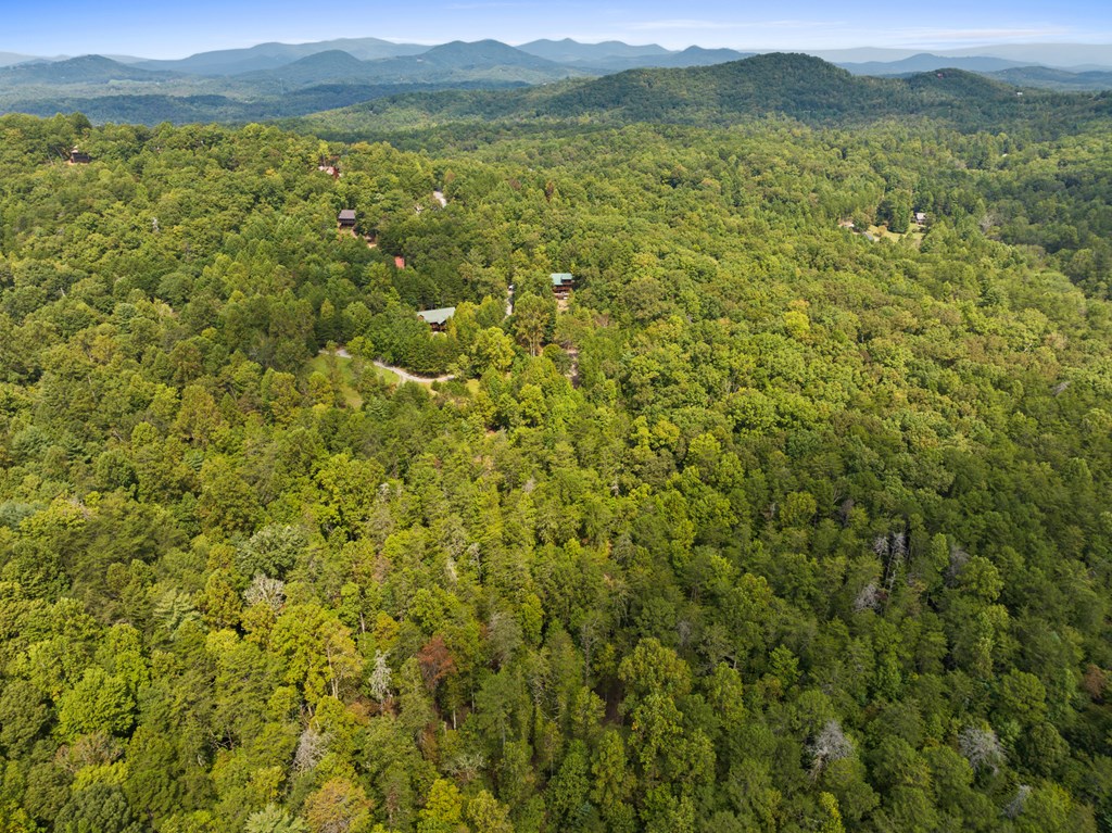 418908 Morganton Residential