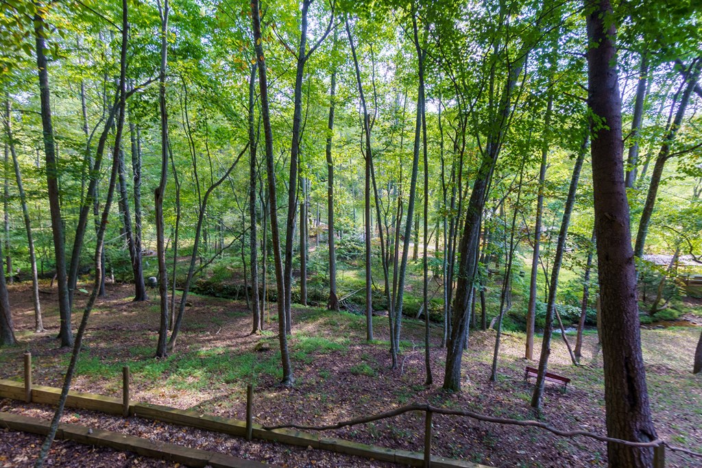 418910 Morganton Residential